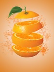 orange, slice, design, fruit, citrus, food, vitamin, fruit design, slice of orange, orange, orange, orange, orange, orange, design, fruit, fruit