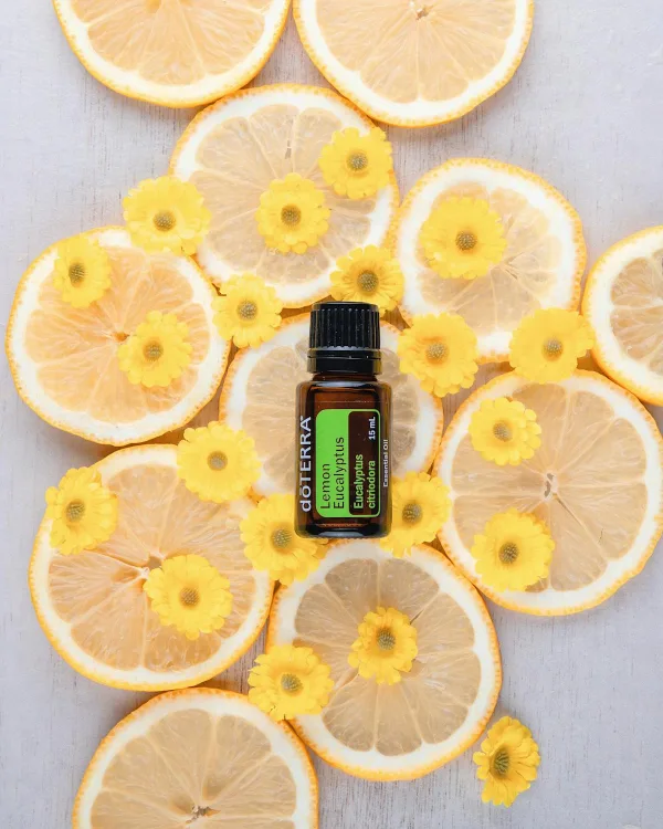 Fresh energizing lemon essential oil candle